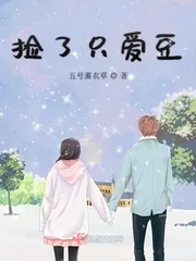《捡了只爱豆》小说封面