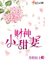 《财神小甜妻》小说封面