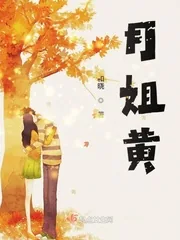 《月姐黄》小说封面