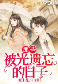 《那些被光遗忘的日子》小说封面