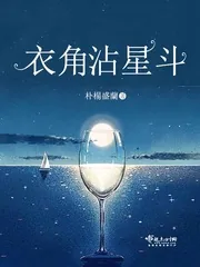 《衣角沾星斗》小说封面