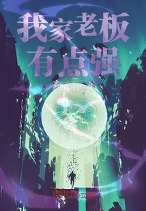 《我家老板有点强》小说封面