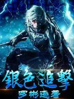 《银色追击》小说封面