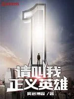《请叫我正义英雄》小说封面