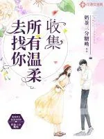 《收集所有温柔去找你》小说封面