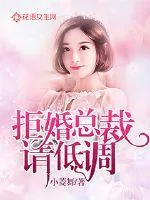 《拒婚总裁请低调》小说封面