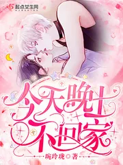 《今天晚上不回家》小说封面