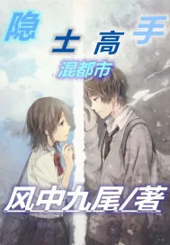 《隐士高手混都市》小说封面