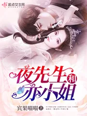 《夜先生和亦小姐》小说封面