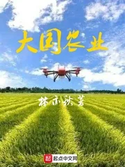 《大国农业》小说封面