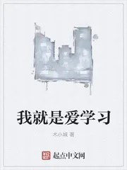 《我就是爱学习》小说封面