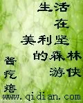 《生活在美利坚的森林游侠》小说封面