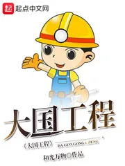 《大国工程》小说封面