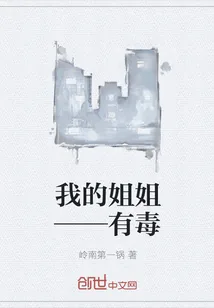 《我的姐姐——有毒》小说封面