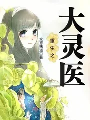 《重生之大灵医》小说封面