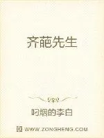 《齐葩先生》小说封面
