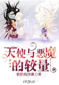 《天使与恶魔的较量》小说封面