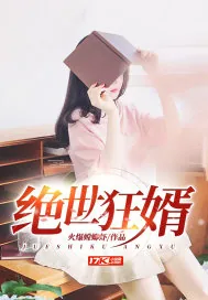 《绝世狂婿》小说封面