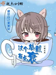 《这个总裁有点二》小说封面