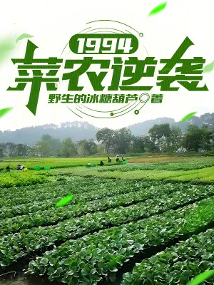 《1994:菜农逆袭》小说封面