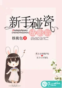 《新手碰瓷成影后》小说封面