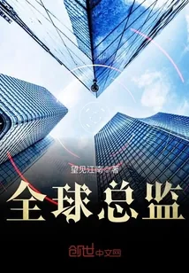 《全球总监》小说封面