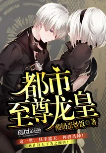 《都市至尊龙皇》小说封面