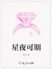 《星夜可期》小说封面