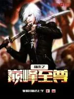 《都市之巅峰至尊》小说封面