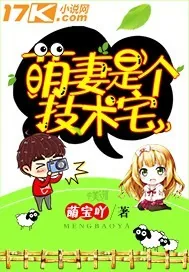《萌妻是个技术宅》小说封面