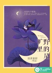 《旷野里的星》小说封面