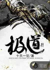 《极道》小说封面