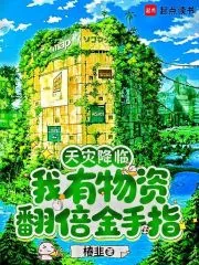 《天灾降临，我有物资翻倍金手指》小说封面