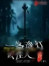 《一盏魂灯度佳人》小说封面