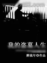 《我的盗墓人生》小说封面