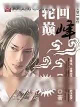 《轮回巅峰》小说封面