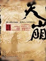 《天崩》小说封面
