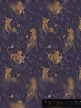 《盗墓笔记王母鬼宴》小说封面