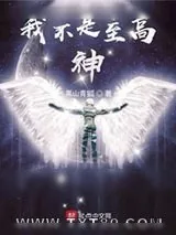 《我不是至高神》小说封面