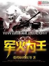《军火为王》小说封面