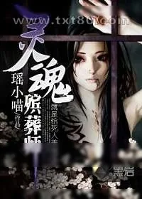 《灵魂殡葬师》小说封面