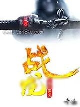 《战龙》小说封面