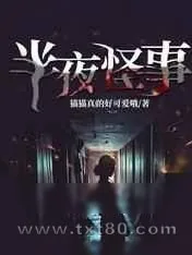 《半夜怪事》小说封面