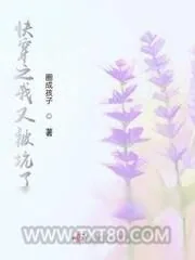 《快穿之我又被坑了》小说封面