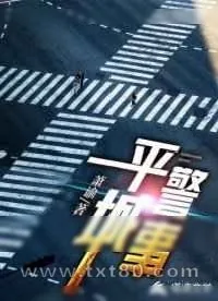 《平城警事》小说封面