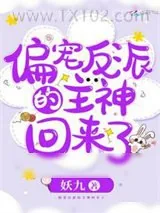 《偏宠反派的主神回来了》小说封面