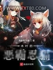 《木叶的恶霸忍猫》小说封面