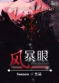 《风暴眼》小说封面