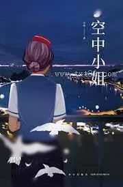 《空中小姐》小说封面