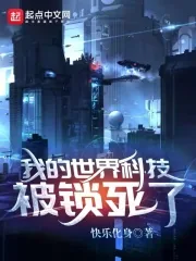 《我的世界科技被锁死了》小说封面